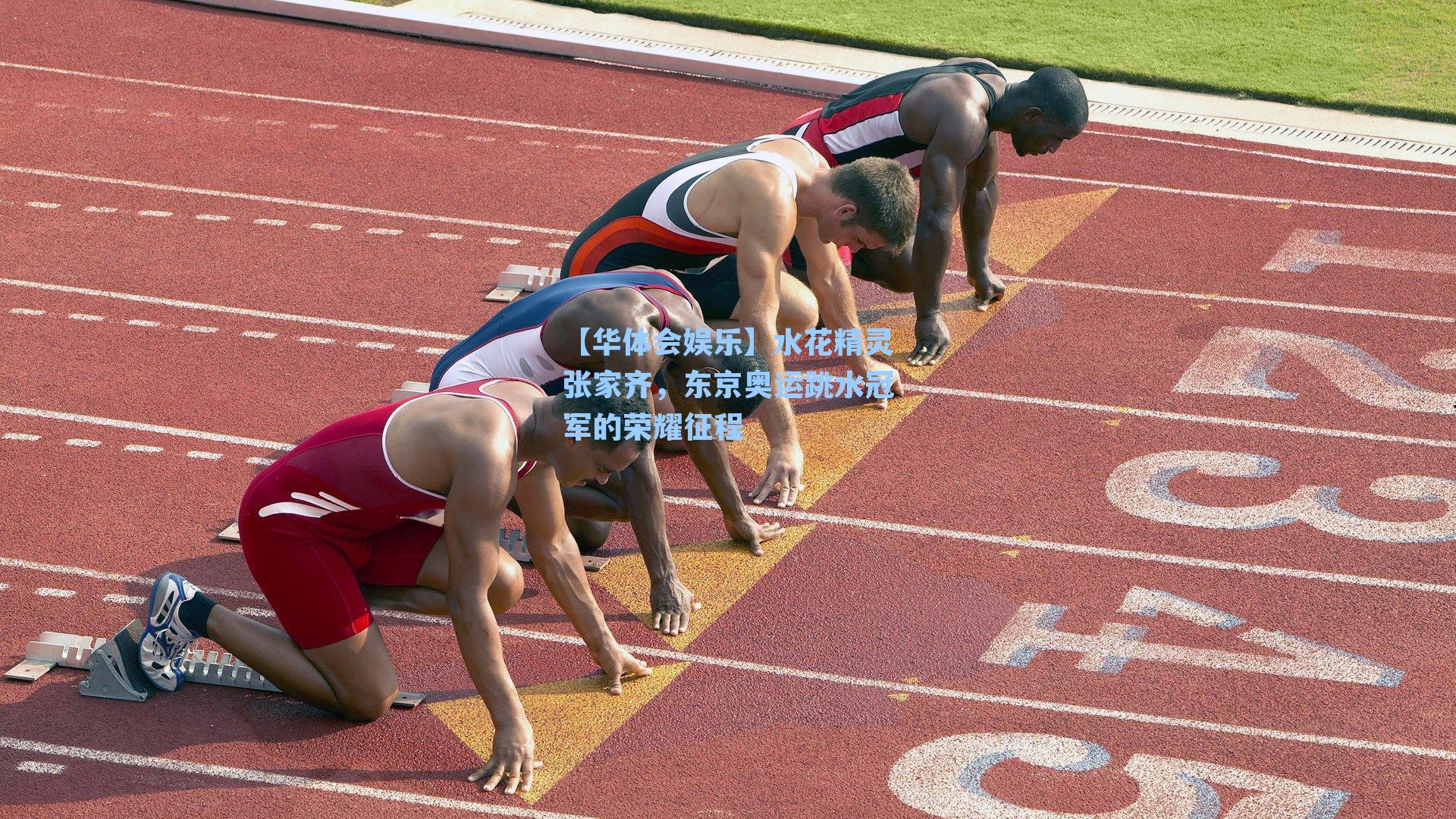 水花精灵张家齐，东京奥运跳水冠军的荣耀征程